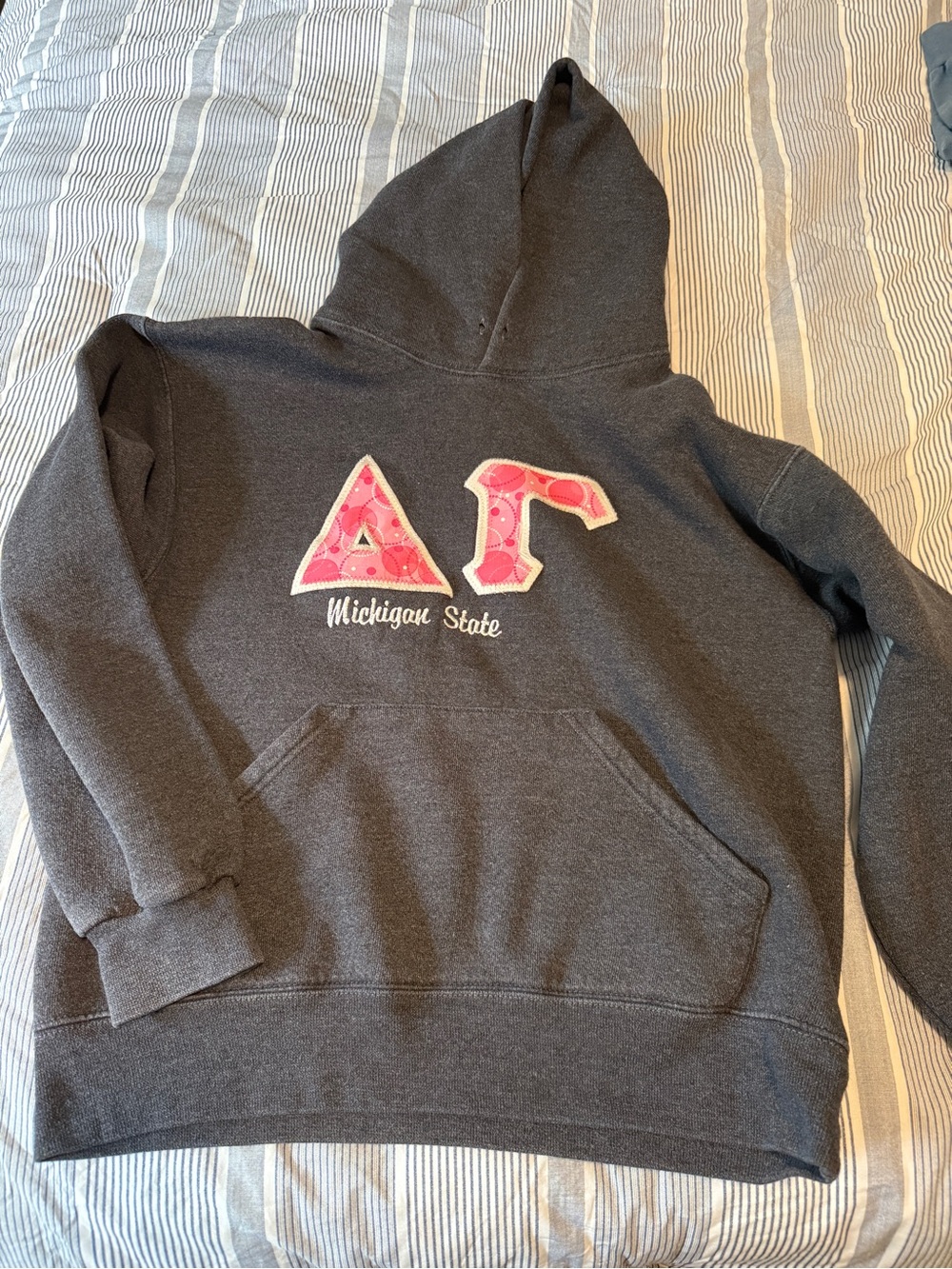 Michigan State Delta Gamma Hoodie with Pink Appliqué